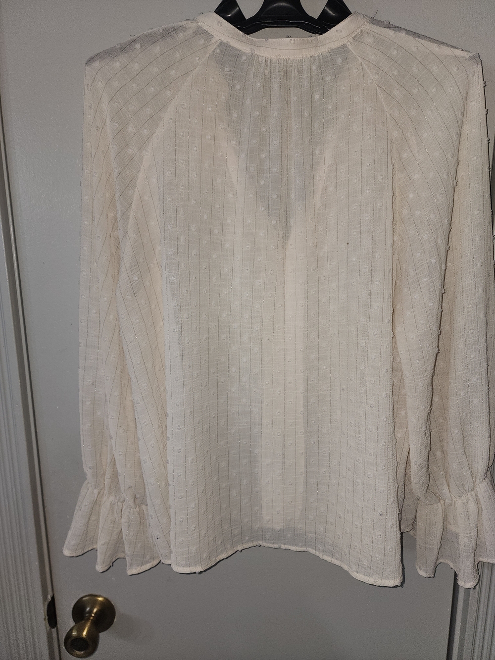 Zara Ivory Ruffle Front Sheer Blouse - Picture 9 of 12